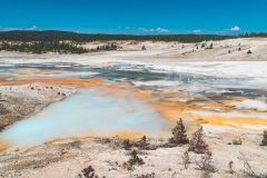 ynp-norris-6