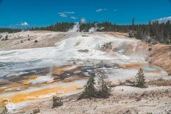 ynp-norris-7
