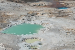 ynp-norris-8