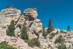 ynp-silver-gold-1