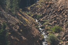 ynp-silver-gold-10