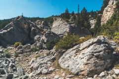 ynp-silver-gold-2