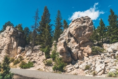 ynp-silver-gold-3
