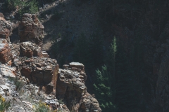ynp-silver-gold-5