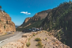 ynp-silver-gold-7