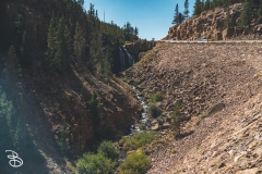 ynp-silver-gold-9