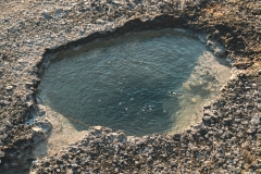 ynp-west-thumb-12
