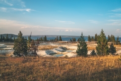 ynp-west-thumb-21