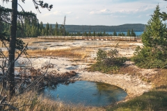 ynp-west-thumb-3