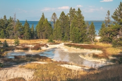 ynp-west-thumb-4