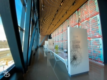 bell-museum-2022-20 bell-museum-2022-20