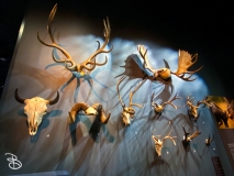 bell-museum-2022-24 bell-museum-2022-24