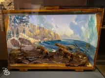 bell-museum-2022-31 bell-museum-2022-31