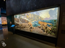 bell-museum-2022-32 bell-museum-2022-32