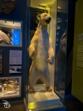 bell-museum-2022-36 bell-museum-2022-36