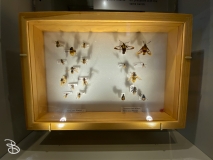 bell-museum-2022-38 bell-museum-2022-38