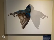 bell-museum-2022-8 bell-museum-2022-8