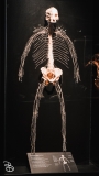 science-museum-body-world-2019-12