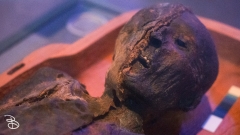 science-museum-body-world-2019-2