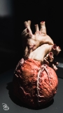 science-museum-body-world-2019-20