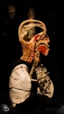 science-museum-body-world-2019-21