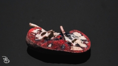 science-museum-body-world-2019-30