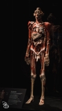 science-museum-body-world-2019-9