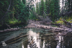 banff-4