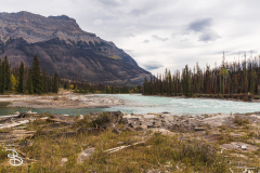 ip-athabasca-falls-1