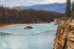 ip-athabasca-falls-10