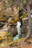 ip-athabasca-falls-11