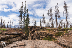 ip-athabasca-falls-13