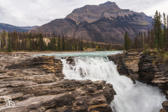 ip-athabasca-falls-2