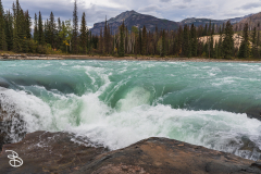 ip-athabasca-falls-7
