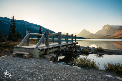 ip-bow-lake-2