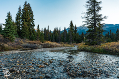 ip-bow-lake-4