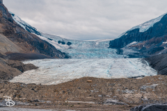 1_ip-columbia-icefield-11