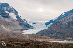 ip-columbia-icefield-1