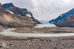ip-columbia-icefield-10