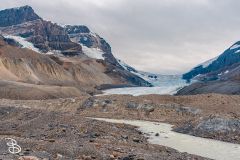 ip-columbia-icefield-13