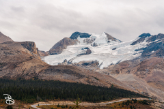 ip-columbia-icefield-2