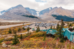 ip-columbia-icefield-3