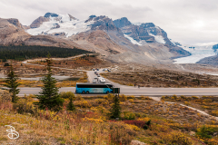 ip-columbia-icefield-4