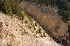 ip-columbia-icefield-7