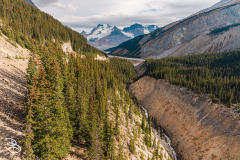 ip-columbia-icefield-9