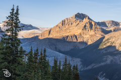 ip-peyto-lake-1