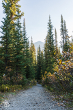 ip-peyto-lake-3