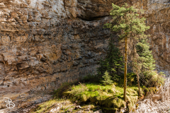 canada-2025-johnston-canyon-8
