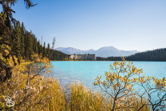 canada-2025-lake-louise-5