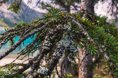 canada-2025-moraine-lake-11